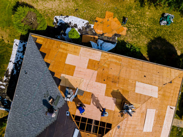 Best Metal Roofing Contractor  in Brenham, TX